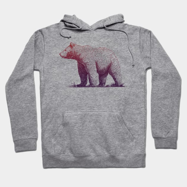 Beary Beautiful Graphic Grizzly Hoodie by jordan_greeneyes